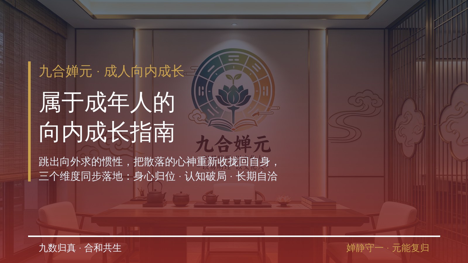 九合婵元：属于成年人的向内成长指南